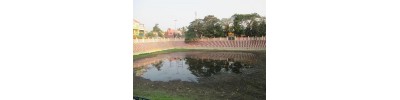 மாங்காடு காமாட்சி - தமிழ்நாடு